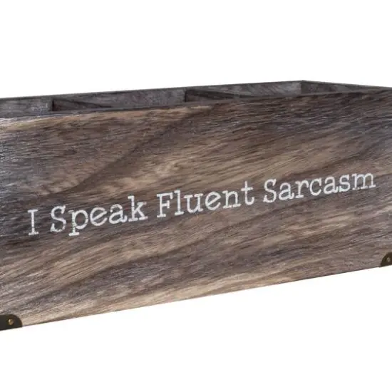 I Speak Fluent Sarcasm Desk Organizer {4}