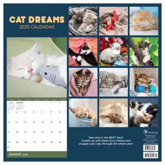 TF Publishing 2025 Cat Dreams Wall Calendar {3}