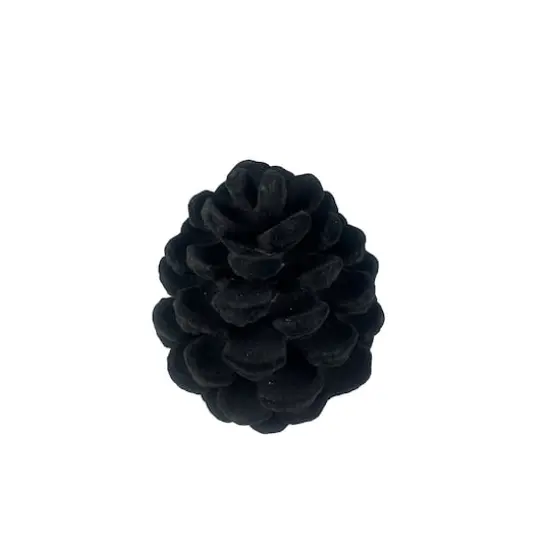 7.25" Black Flocked Pinecone Tabletop D&eacute;cor by Ashland&reg; {4}