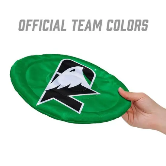 NCAA Flimzee Bean-Bag Flying Disc North Dakota Fighting Hawks {4}