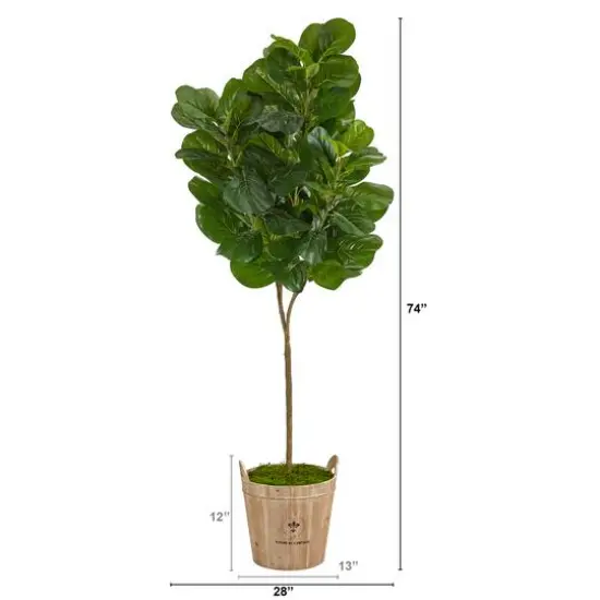 6ft. Fiddle Leaf Fig Tree in Farmhouse Planter {3}