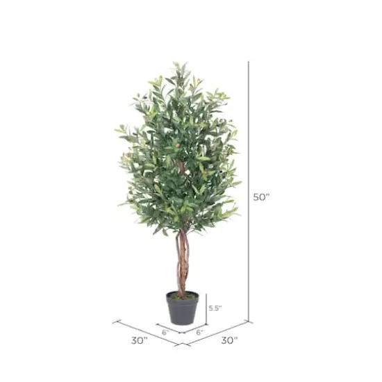 4ft. Potted Olive Tree {5}