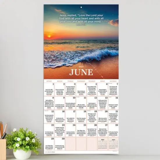 TF Publishing 2025 Daily Verse Wall Calendar {4}
