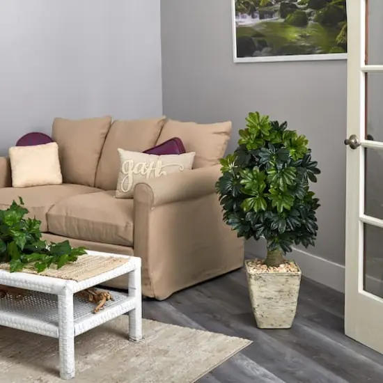 3.5ft. Umbrella Tree in Country White Planter {5}