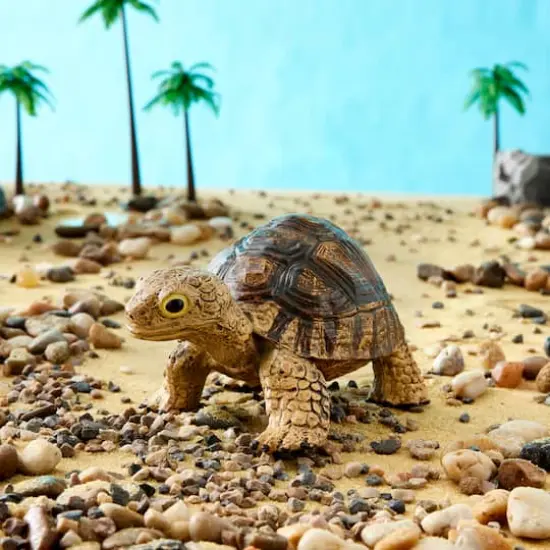 Safari Ltd&reg; Tortoise {3}