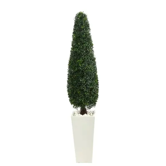 5.25ft. Boxwood Topiary in Tall White Planter {1}