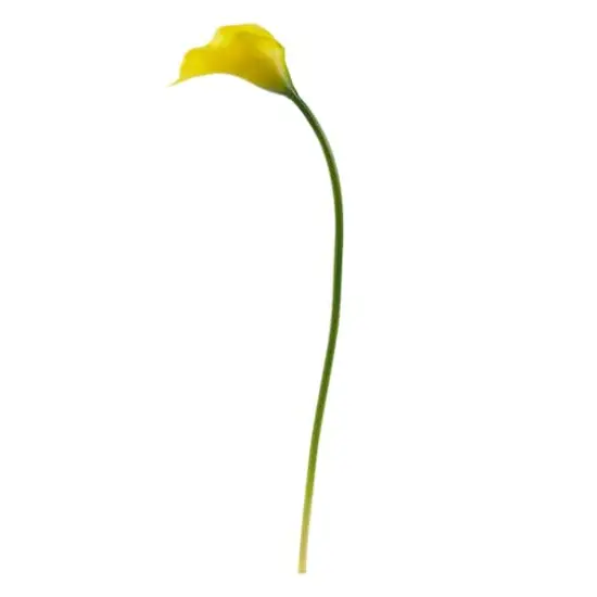 19.5" Calla Lily Artificial Flower Set Yellow {4}