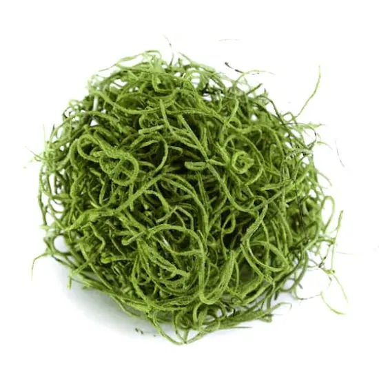 SuperMoss&reg; Preserved Spanish Moss, Grass Green {5}