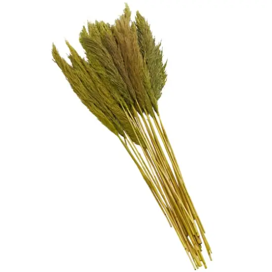 Dried Plant Bamboo Natural Foliage with Long Stems Green {4}