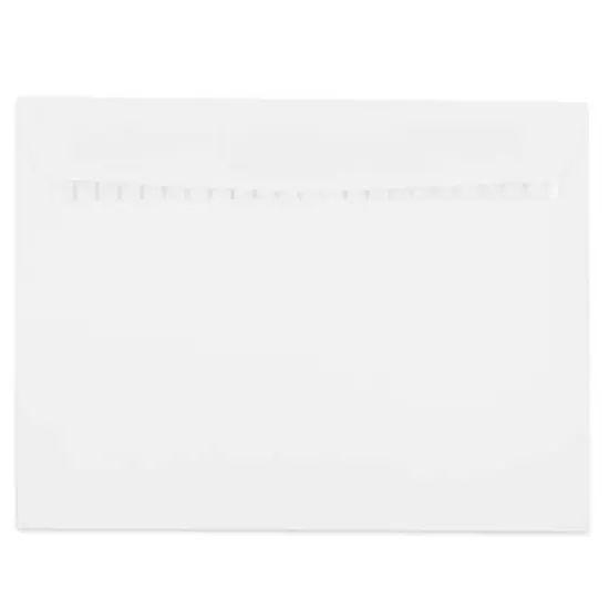 JAM Paper 9.5" x 12.5" White Commercial Booklet Envelopes, 500ct. {1}