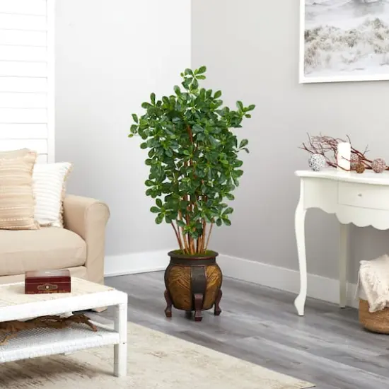 4.5ft. Black Olive Tree in Decorative Planter {5}