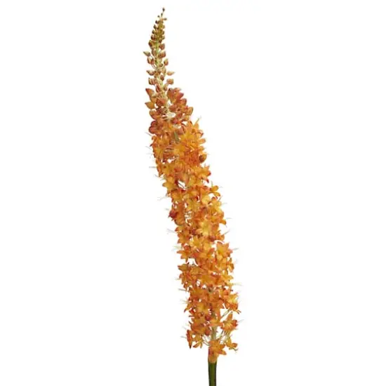Orange Fox Tail Flower Stems, 3ct. {3}