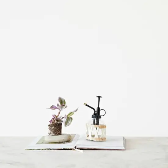 Hello Honey&reg; 6.75" Glass Plant Mister with Natural Woven Sleeve {3}