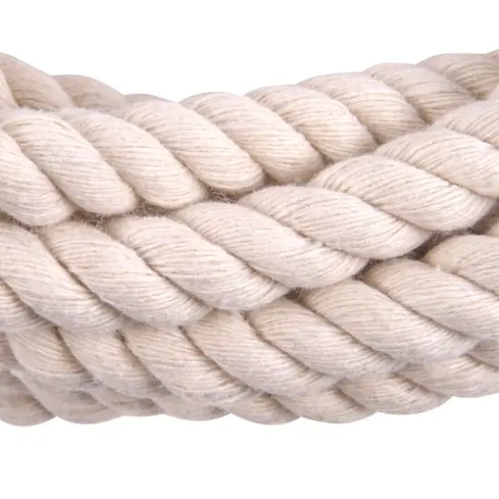15ft. Ivory Rope by Ashland&reg; {4}