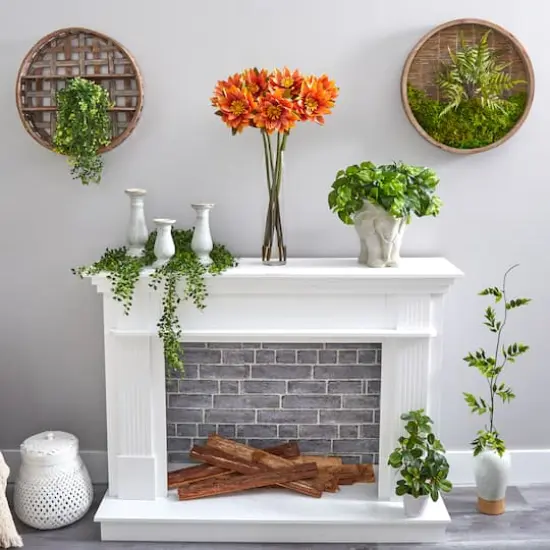 2.5ft. Coral Lotus Arrangement in Cylinder Vase {5}