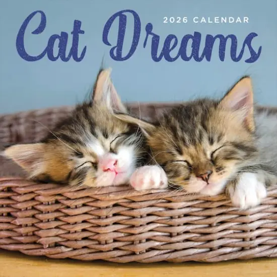 2026 Cat Dreams Wall Calendar {1}