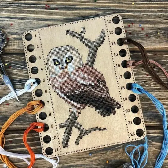 Wonderland Crafts Owl Numbered Embroidery Thread Organizer {7}