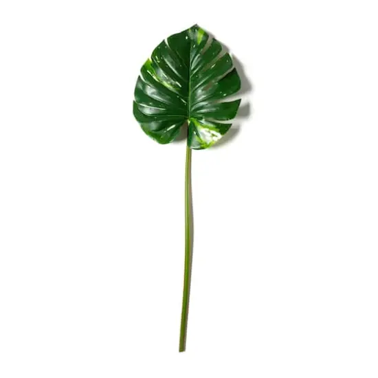 Monstera Leaf Stem by Ashland&reg; {1}