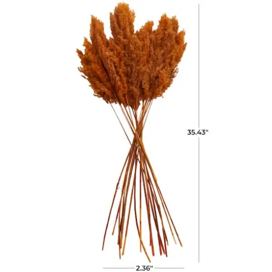 Dried Plant Pampas Natural Foliage with Long Stems Orange {8}