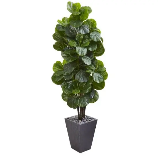 6ft. Fiddle Leaf Fig Tree in Slate Planter {1}