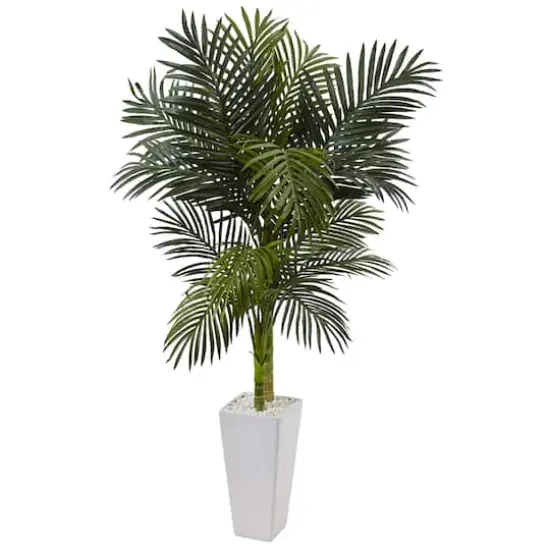 5ft. Potted Golden Cane Palm Tree in Decorative Planter {1}