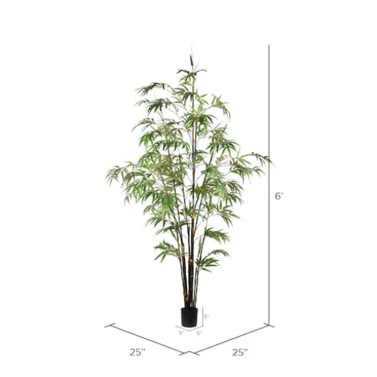 6ft. Potted Black Japanese Bamboo Tree {4}