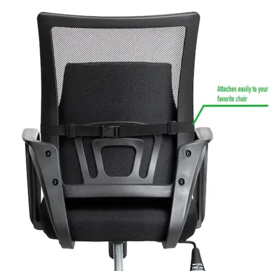 Mind Reader Teal & Black Ergonomic Back Cushion {6}