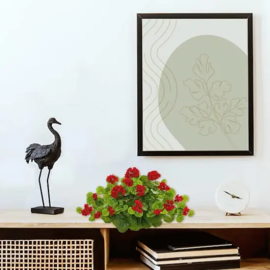 12" Geranium Ledge Plant {4}