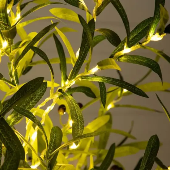 6ft. Potted Pre-Lit Artificial Olive Tree with Warm White LED Lights {4}