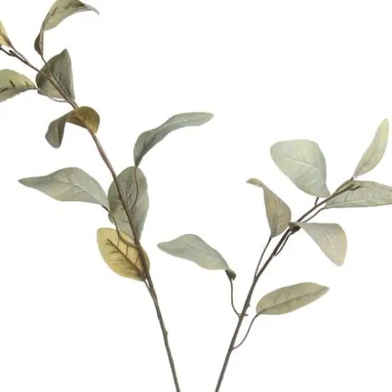 Green Feather Eucalyptus Stem by Ashland&reg; {3}