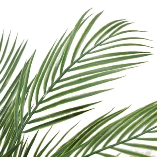 2.75ft. Potted Areca Palm Tree {5}