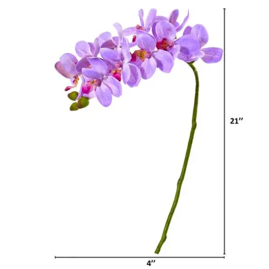 Moth Orchid Stem, 6ct. Purple {3}