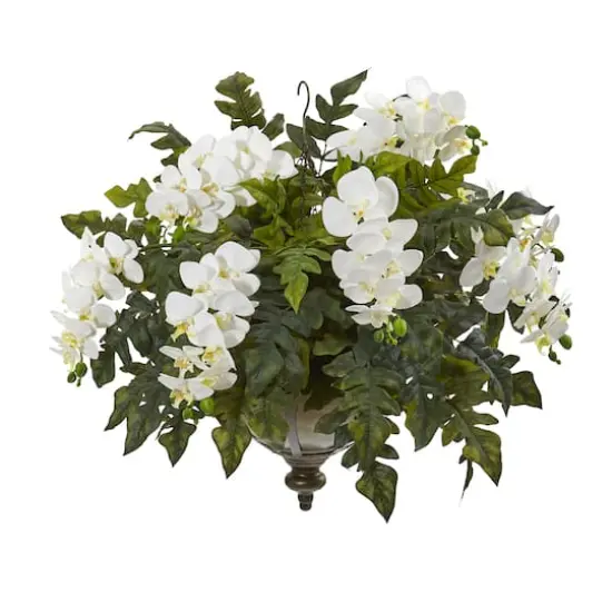 2ft. Cream Orchid & Holly Fern Arrangement in Metal Hanging Bowl {1}