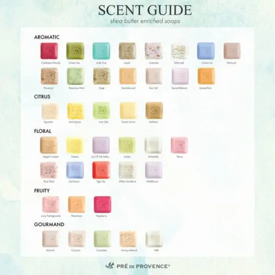 Pre de Provence European Soaps Bar, 250g Jade Vine {8}