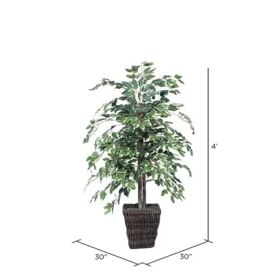 4ft. Artificial Variegated Ficus Bush with Square Willow Basket {5}