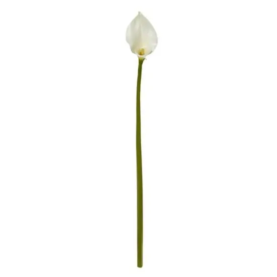 White Calla Lily Flower Stems, 4ct. {5}