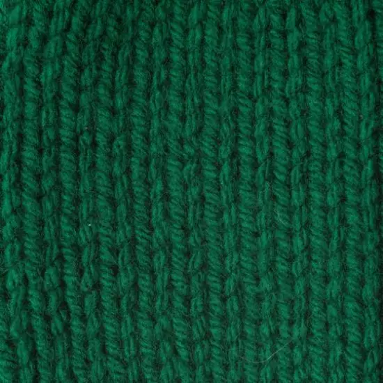 Caron&reg; One Pound&trade; Yarn Kelly Green {5}
