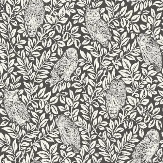 Wallpops Charcoal Sleepy Owls Peel & Stick Wallpaper {1}