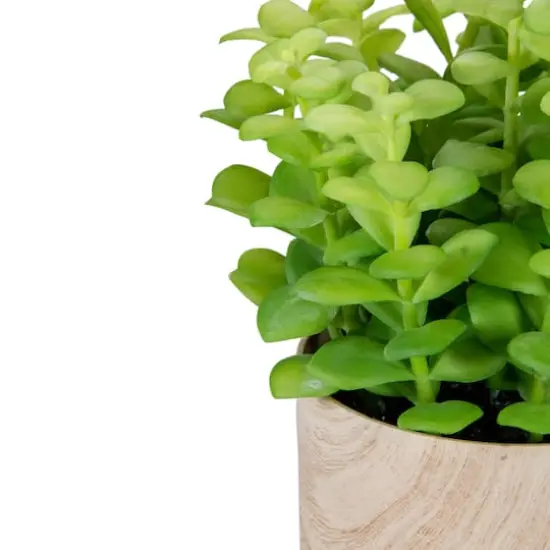 10" Green Privet Plant in Faux Wood Pot {5}