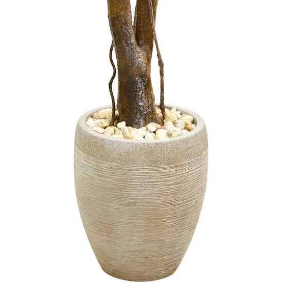 4ft. Boxwood Topiary Tree in Planter {4}