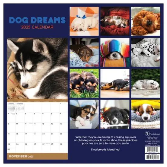 TF Publishing 2025 Dog Dreams Wall Calendar {3}