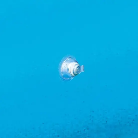 Pool Central&reg; 5ft. Inflatable Blue & White 2-Ring Swimming Pool {4}