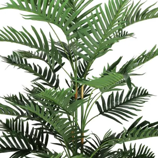 6.25ft. Potted Areca Palm Tree {3}