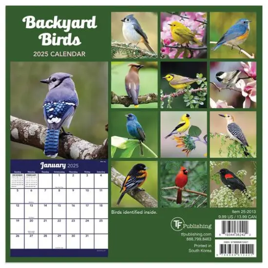 TF Publishing 2025 Backyard Birds Mini Calendar {3}