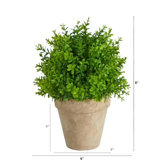 8'' Boxwood Artificial Plant in Decorative Planter {3}