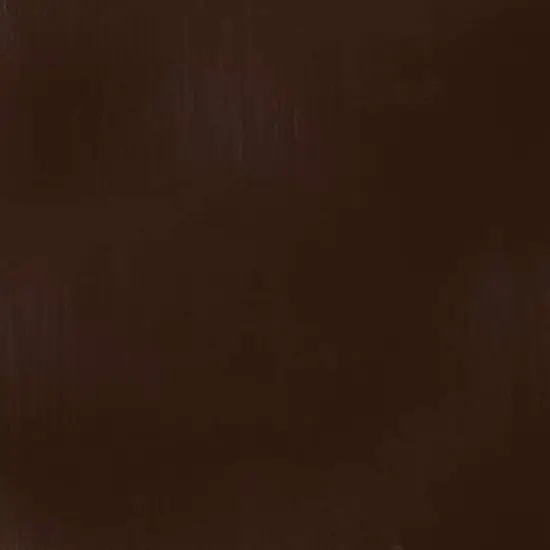 Liquitex® Professional 2oz. Heavy Body Acrylic Paint Transparent Burnt Umber {3}