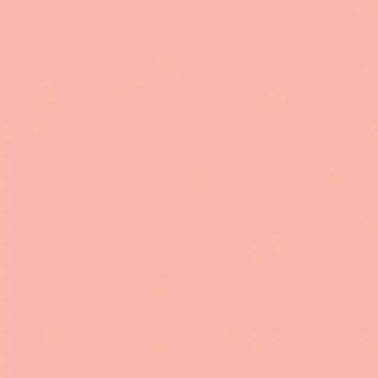 Liquitex&reg; Professional Spray Paint Cad Red Light Hue 6 {4}