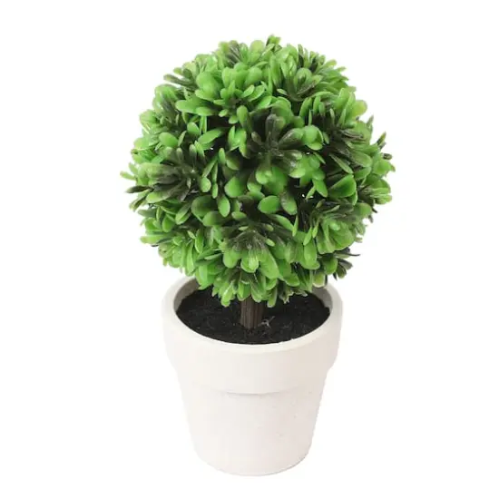 6.75" Premade Green Boxwood Ball Topiaries in Plastic Pots, 3ct. by Ashland&reg; {3}