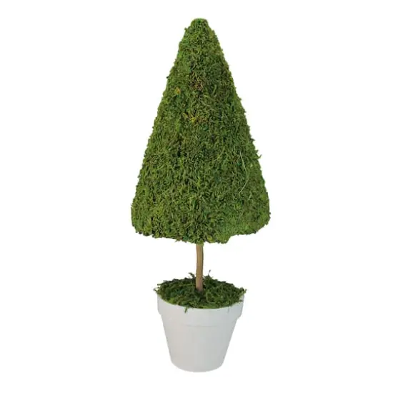 20.5" Green Potted Reindeer Moss Spring Topiary Tree {1}