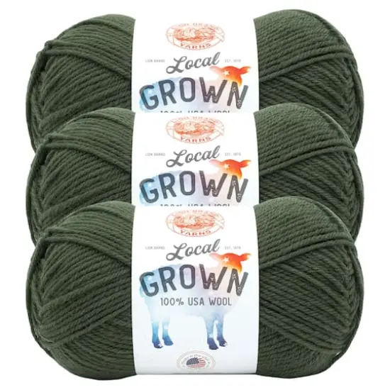 3 Pack Lion Brand&reg; Local Grown Yarn Moss {1}
